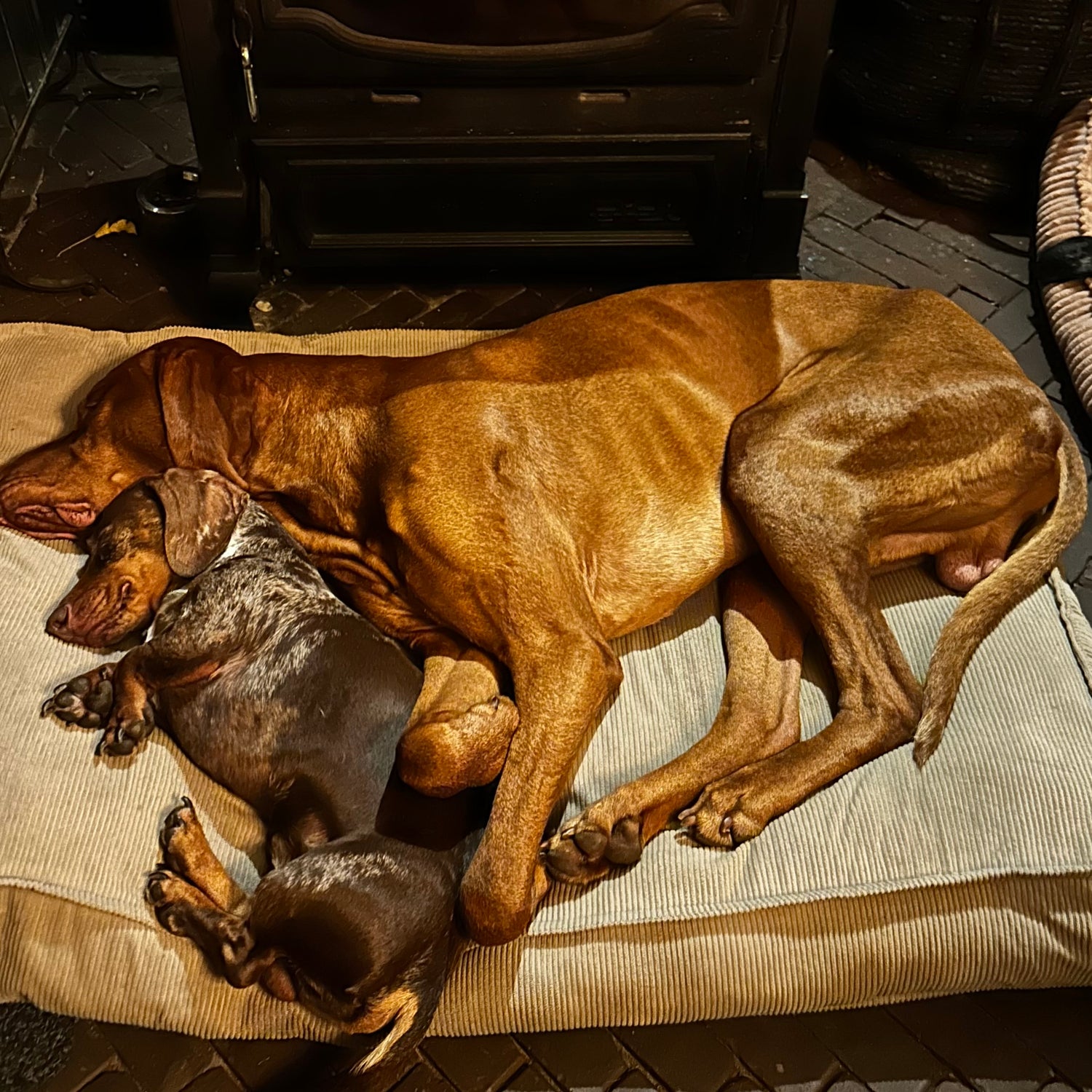 🛏️ Thuis & op reis