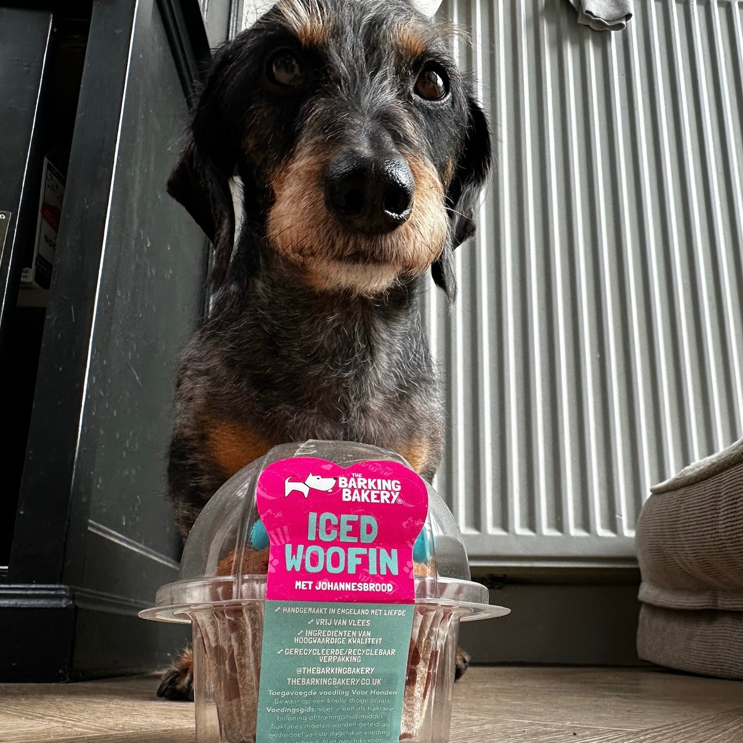 🍖Snacks en accessoires