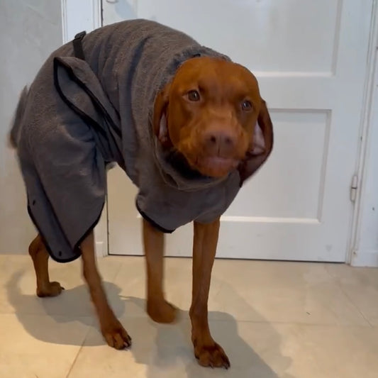 Trixie Bathrobe Dog Terrycloth Gray