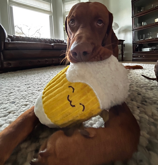 Trixie Oktoberfest Beer Plush